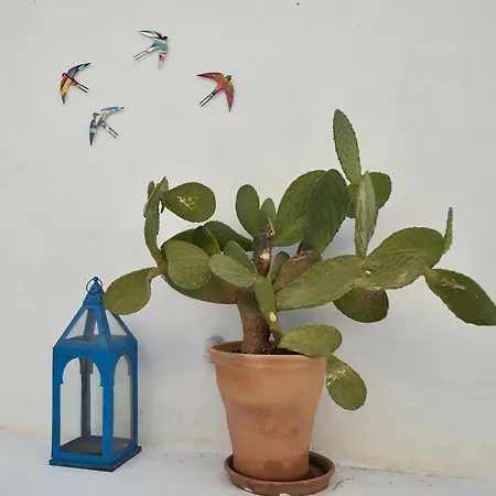 Villa Art Canava Luxury