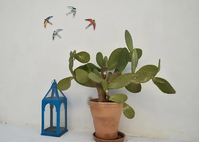 Villa Art Canava Luxury